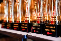 長(zhǎng)亮科技董秘徐亞麗榮獲“2018年度界面金勛章年度董事會(huì)秘書(shū)勛章”獎(jiǎng)